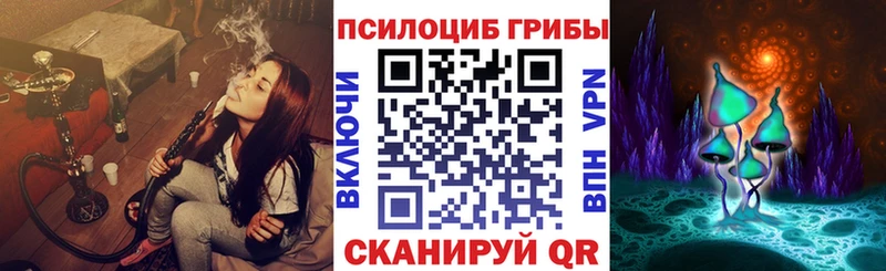 Галлюциногенные грибы мицелий  Талдом 