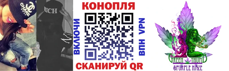как найти наркотики  Талдом  Бошки Шишки гибрид 